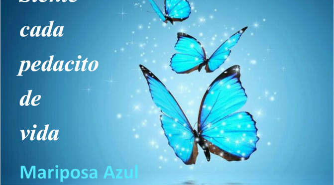 septiembre | 2016 | Mariposa Azul de Luz