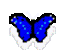 mariposita de mariposa azul de luz.jpg